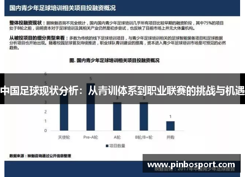 中国足球现状分析：从青训体系到职业联赛的挑战与机遇